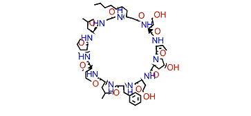 Laxaphycin E